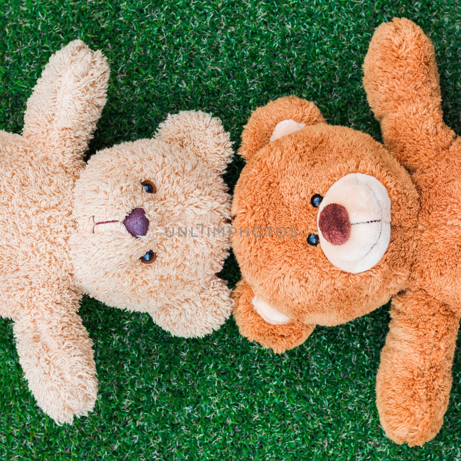 Cute teddy bears on green grass background