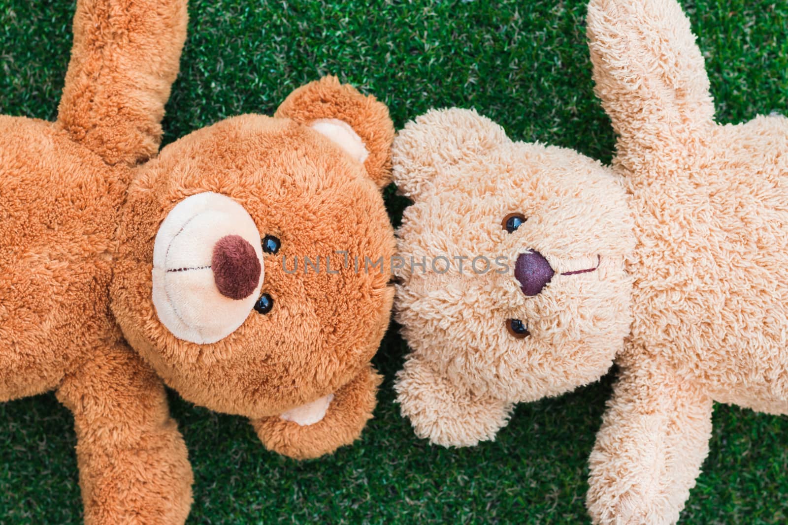 Cute teddy bears on green grass background