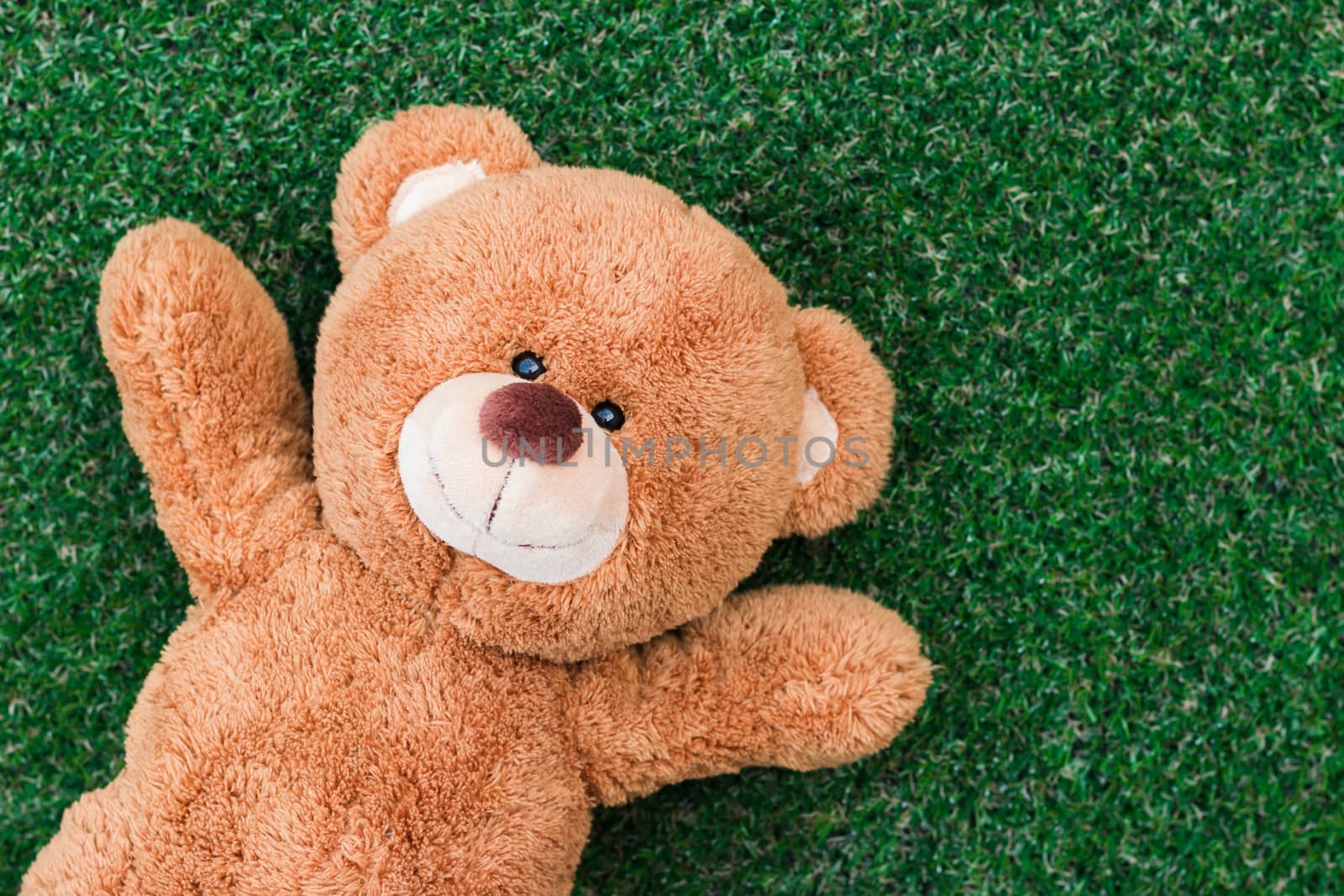 Cute teddy bear on green grass background