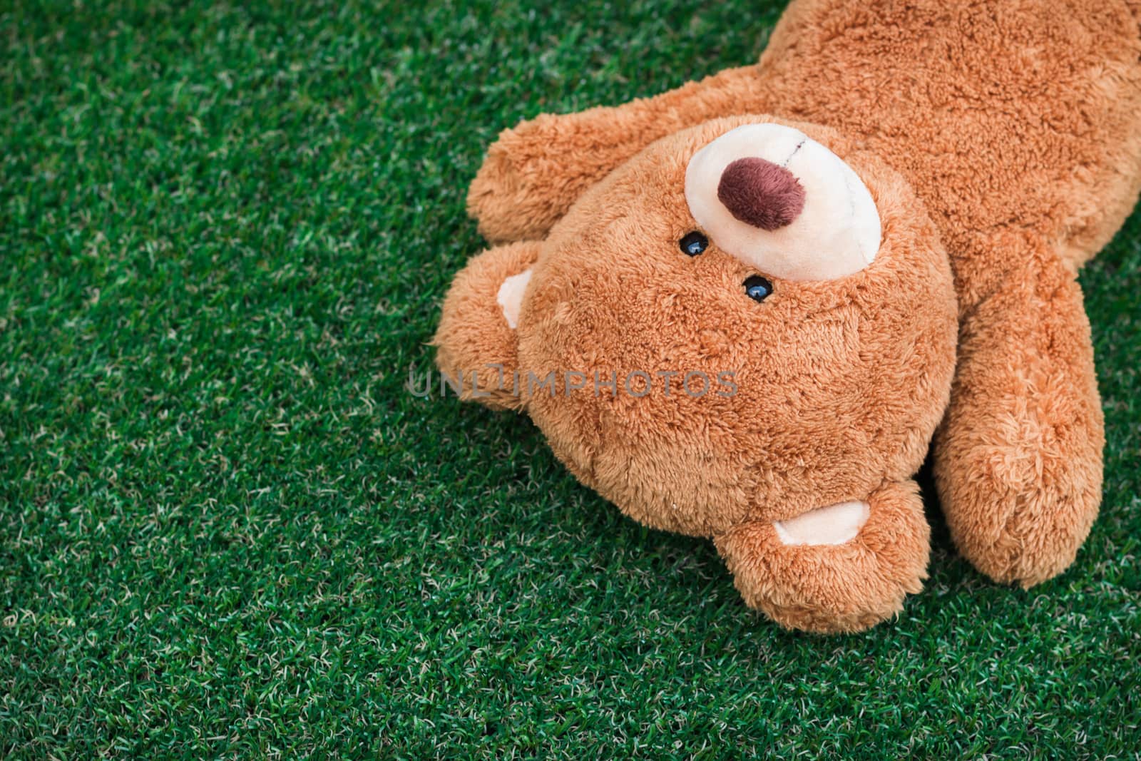 Cute teddy bear on green grass background