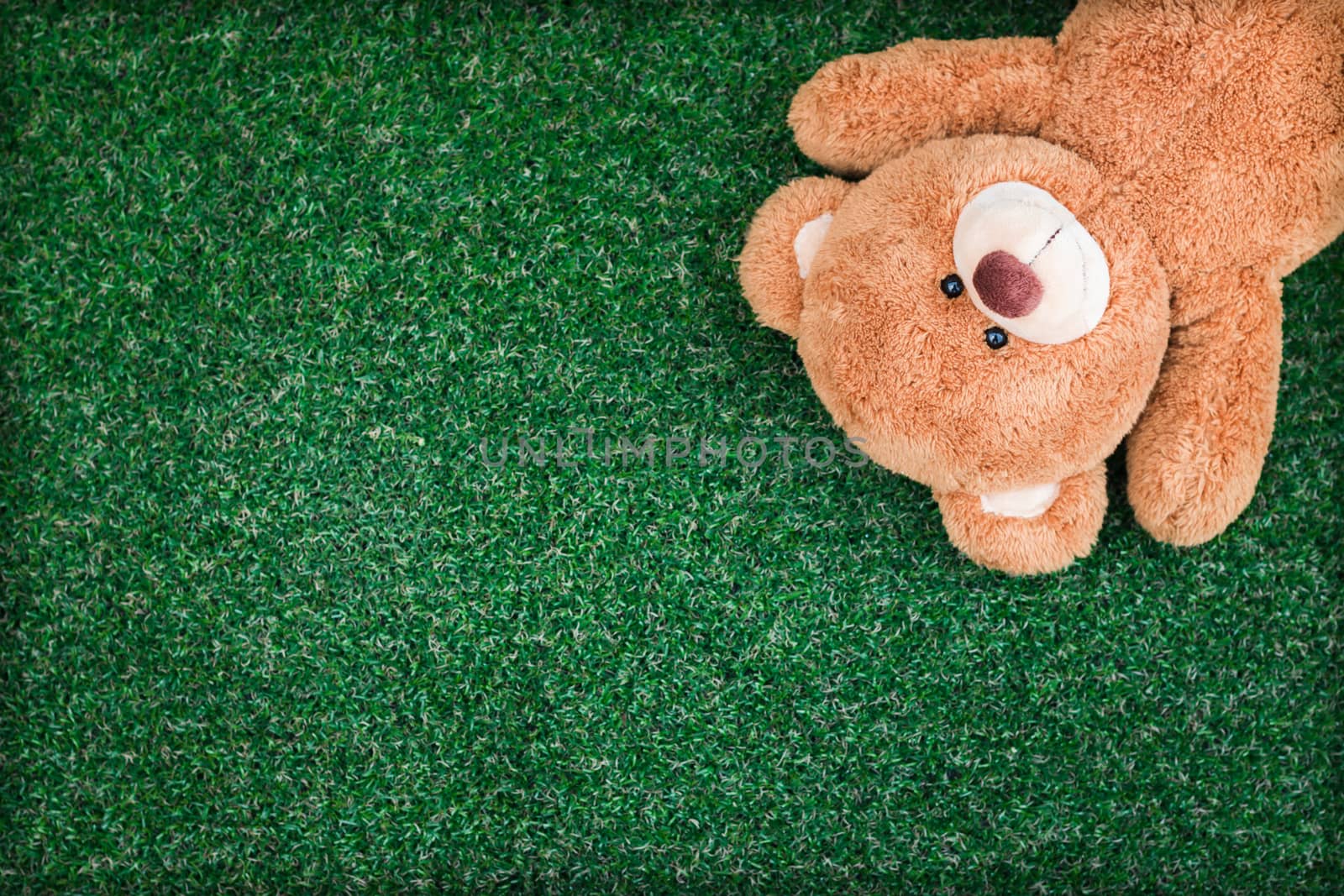 Cute teddy bear on green grass background