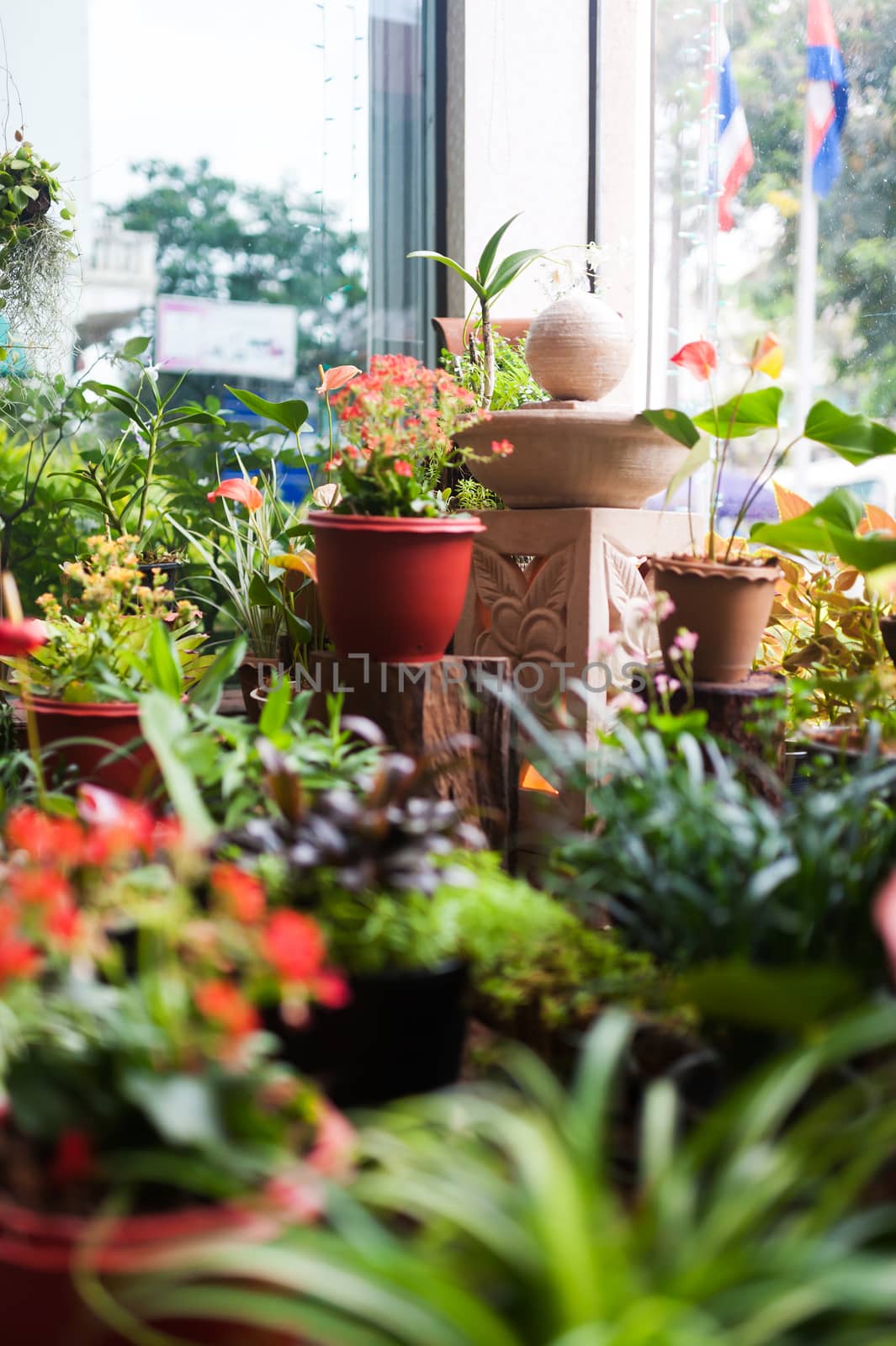 An Small place garden in soft light .