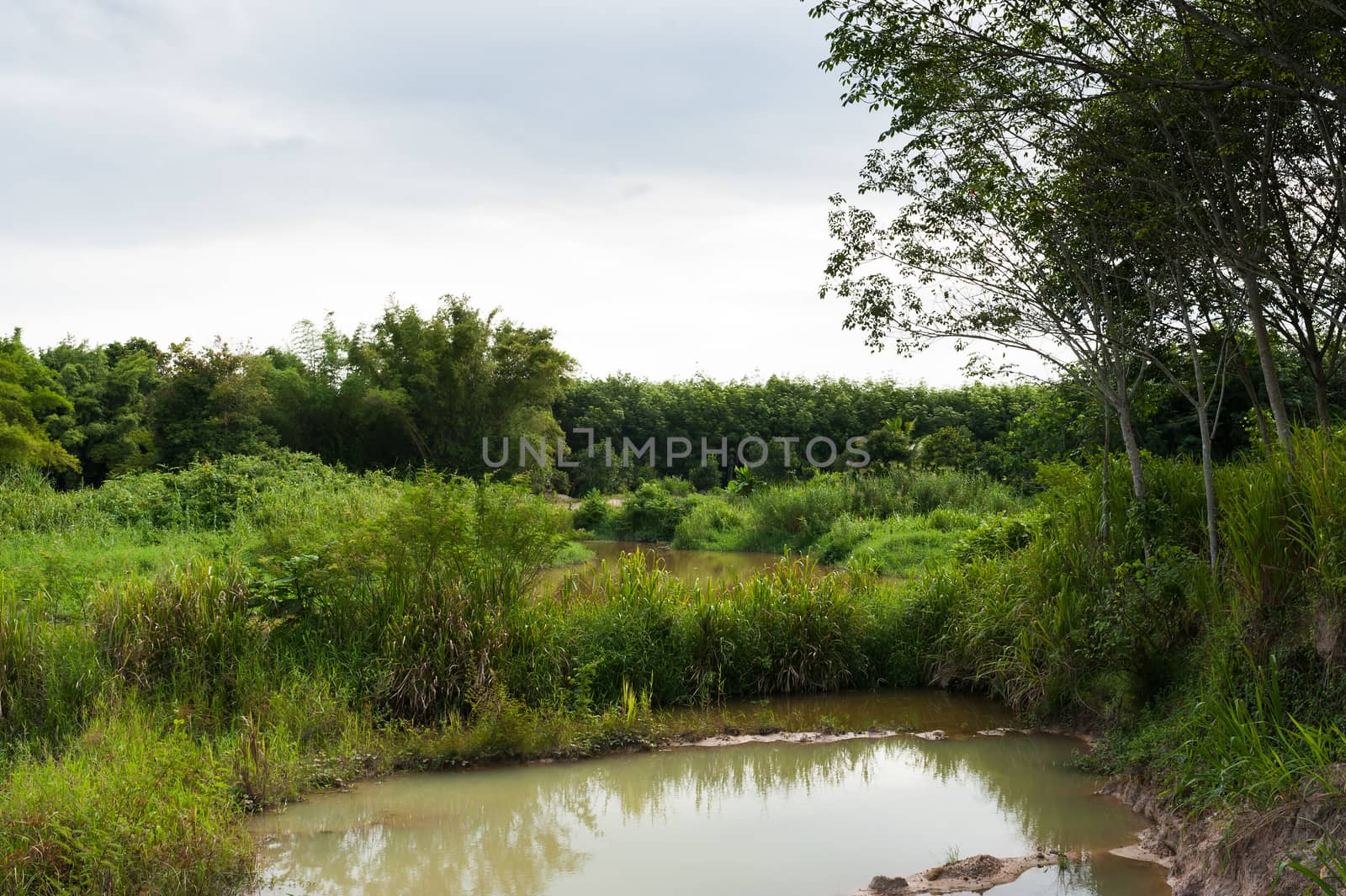 Canal pool of nature in sun light .