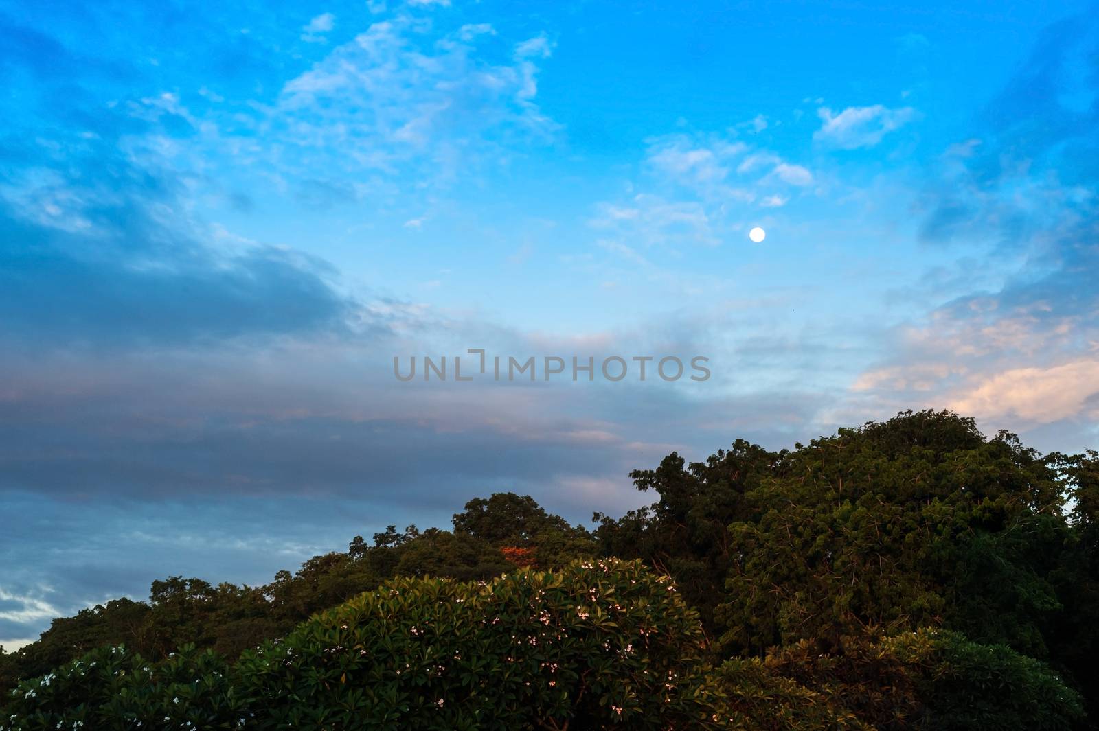 An Moon with blue sky .