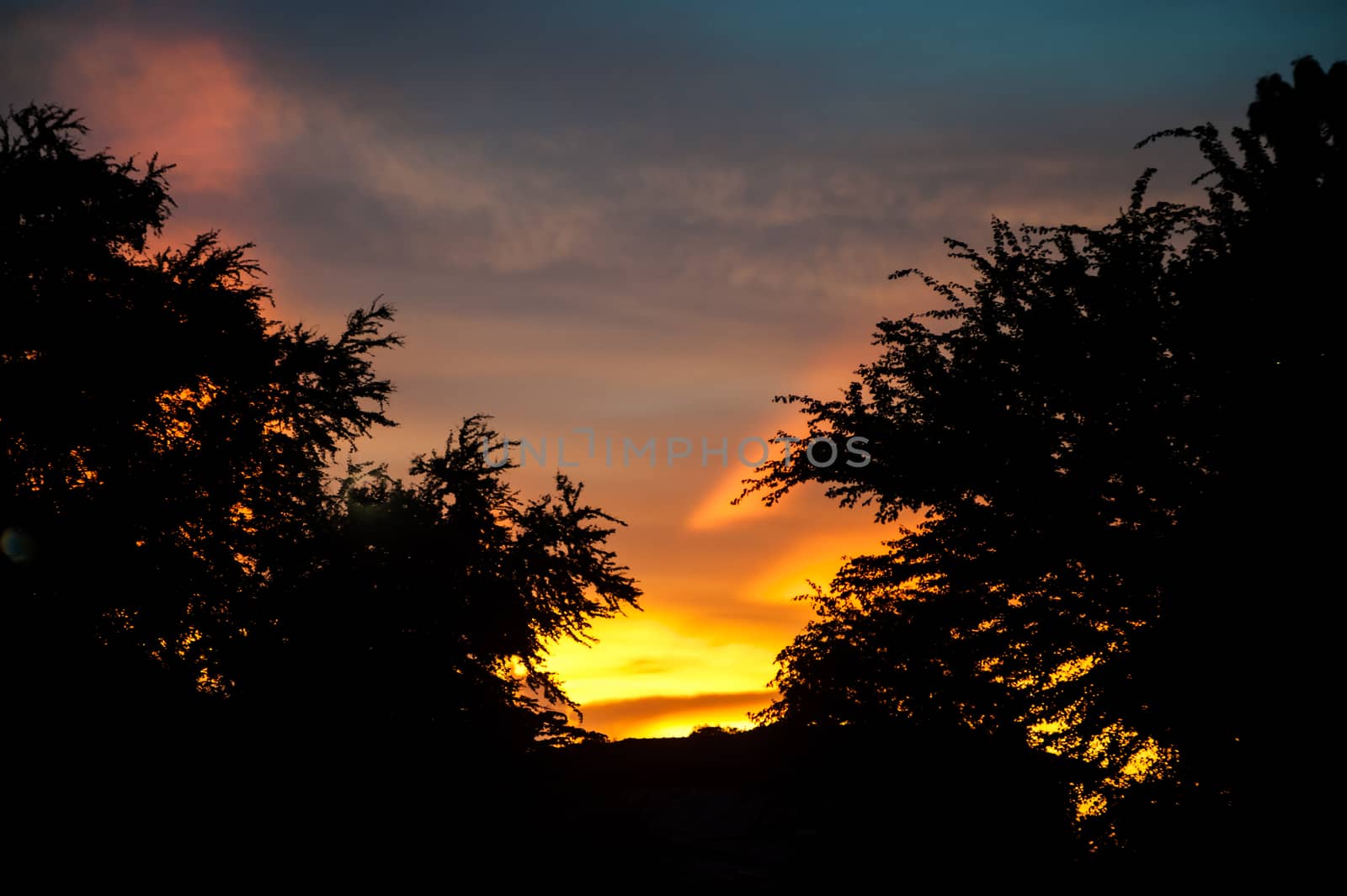 Sky sunset dramatic cloud in near evening by panumazz@gmail.com