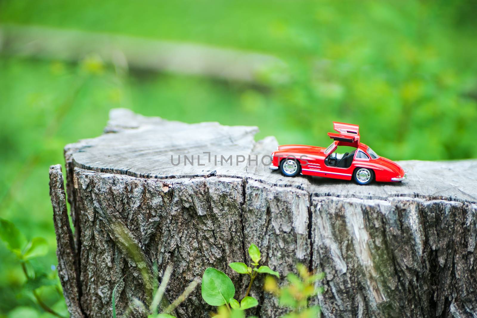 An Sport car model in nature place .