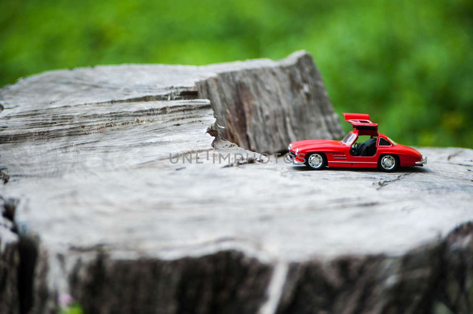 An Sport car model in nature place .