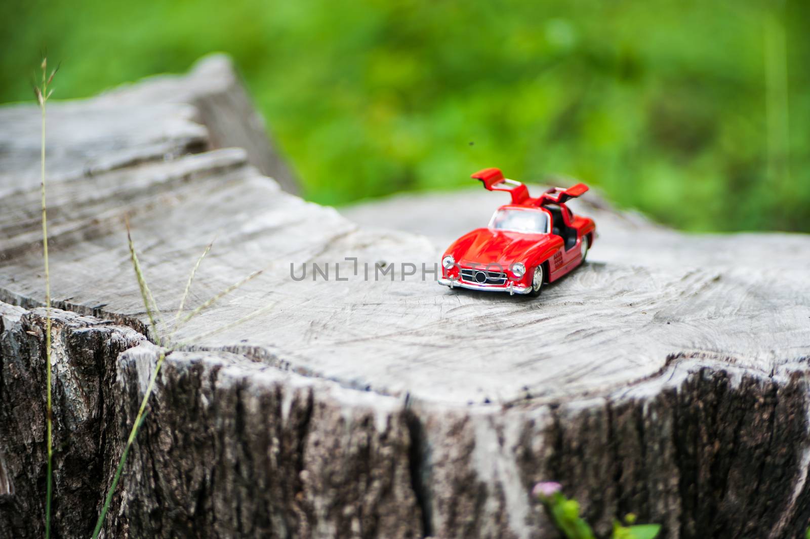 An Sport car model in nature place .