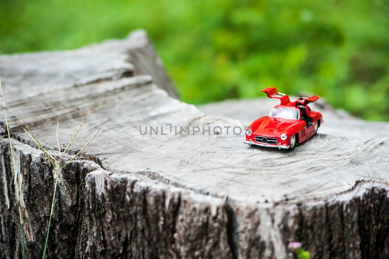 An Sport car model in nature place .