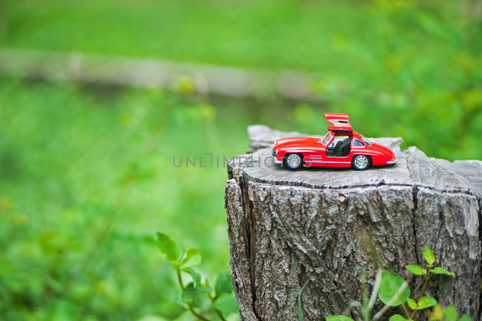 An Sport car model in nature place .