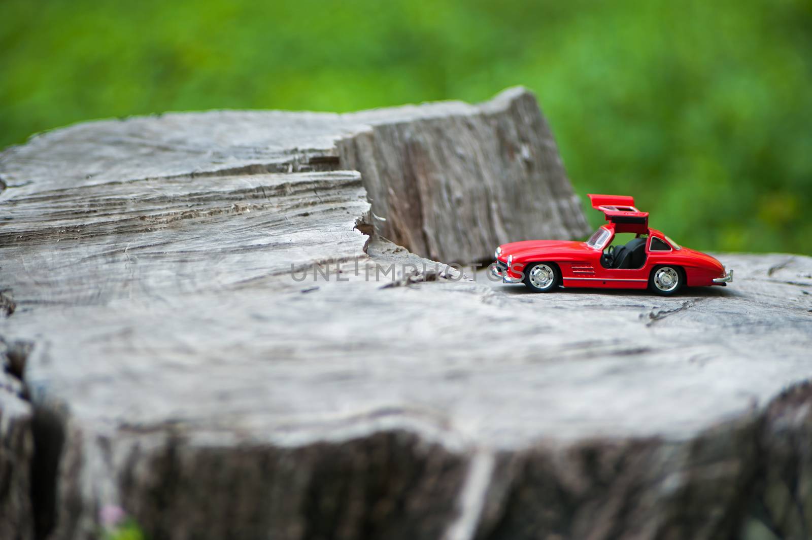 An Sport car model in nature place .