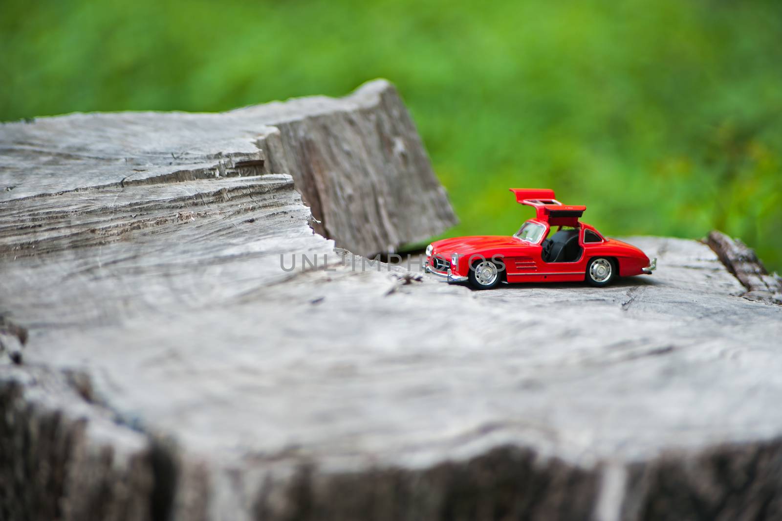 An Sport car model in nature place .