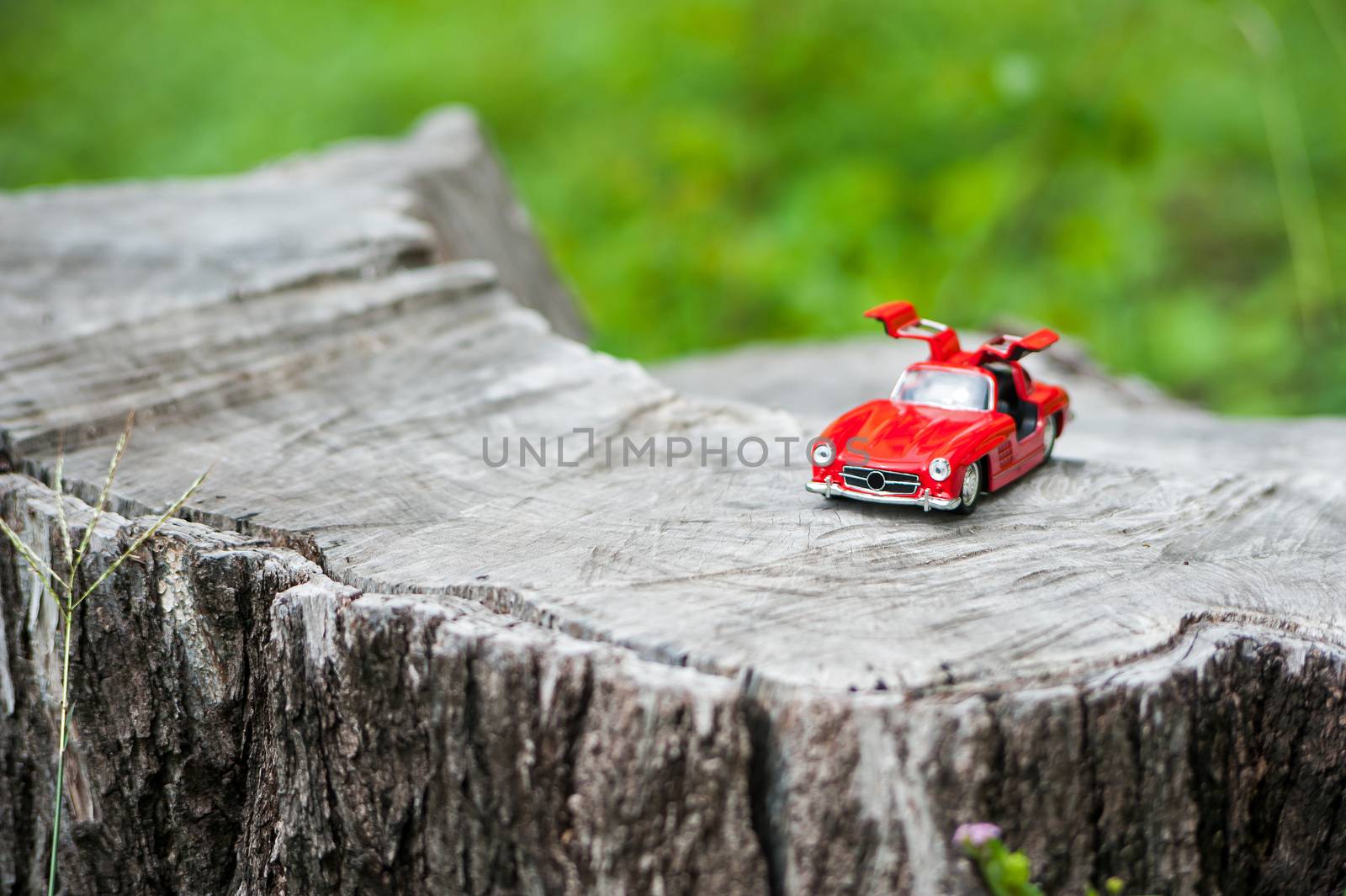 An Sport car model in nature place .