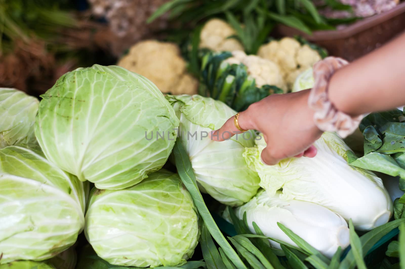 Vegetables group in market place by panumazz@gmail.com