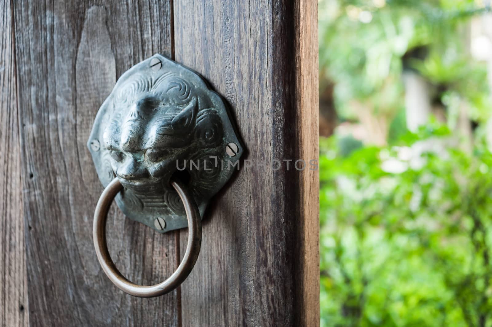 Door Knob Tiger art style place by panumazz@gmail.com