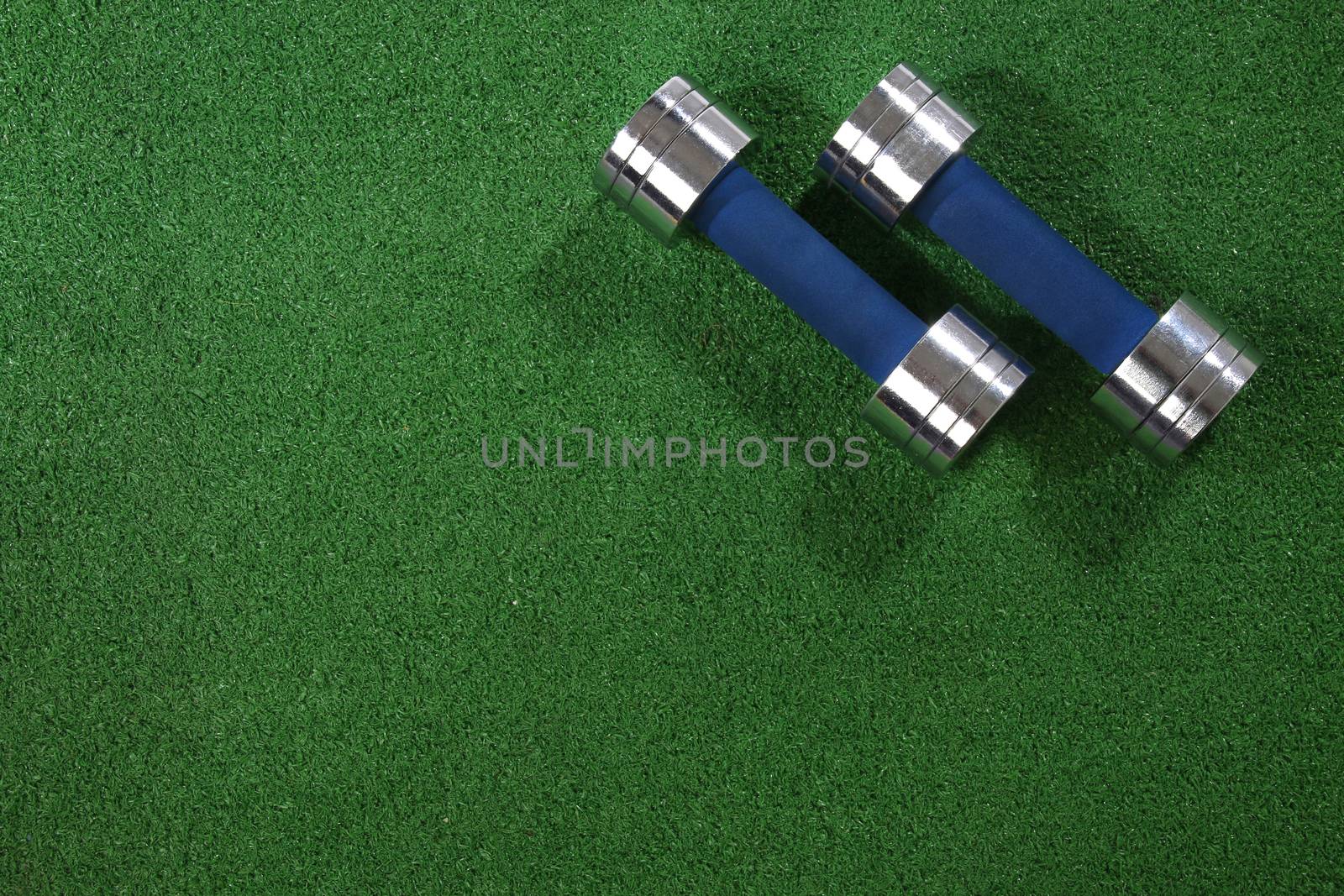 A pair of dumbells on a grass background by Erdosain