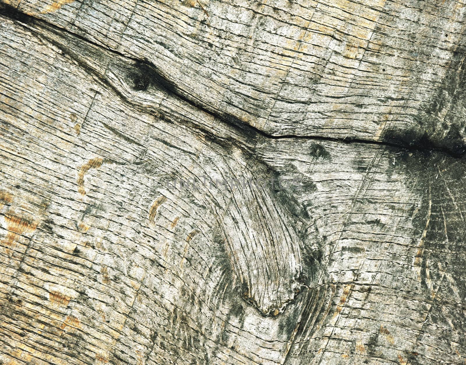 abstract background or texture Detail of an old wooden board