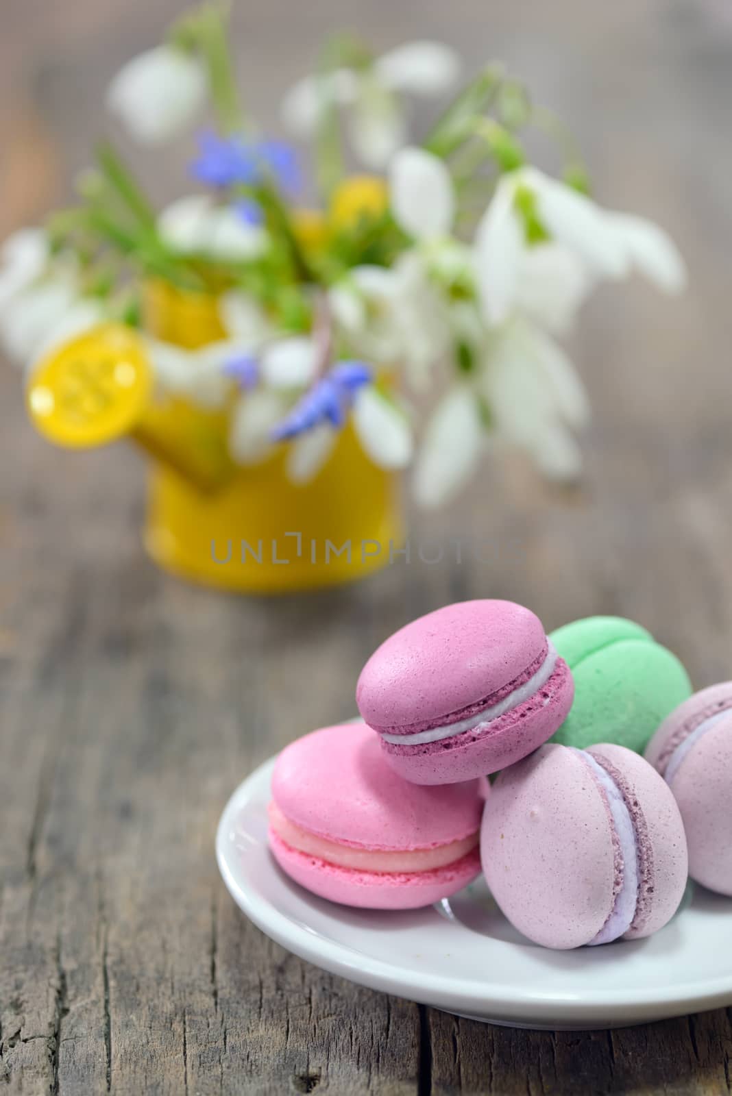 Colorful French Macarons and spring flowers on wooden background