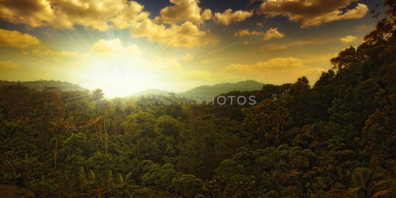 panoramic view of nice tropical sunset over jungle hills