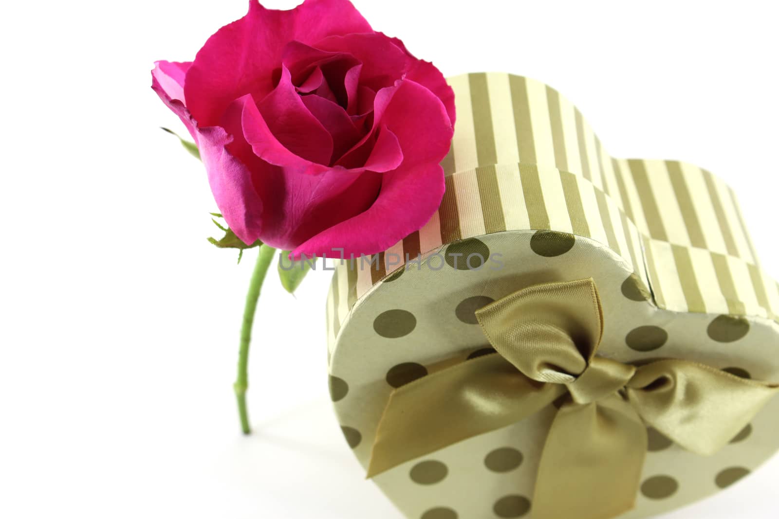 Flower and present gift on isolate background