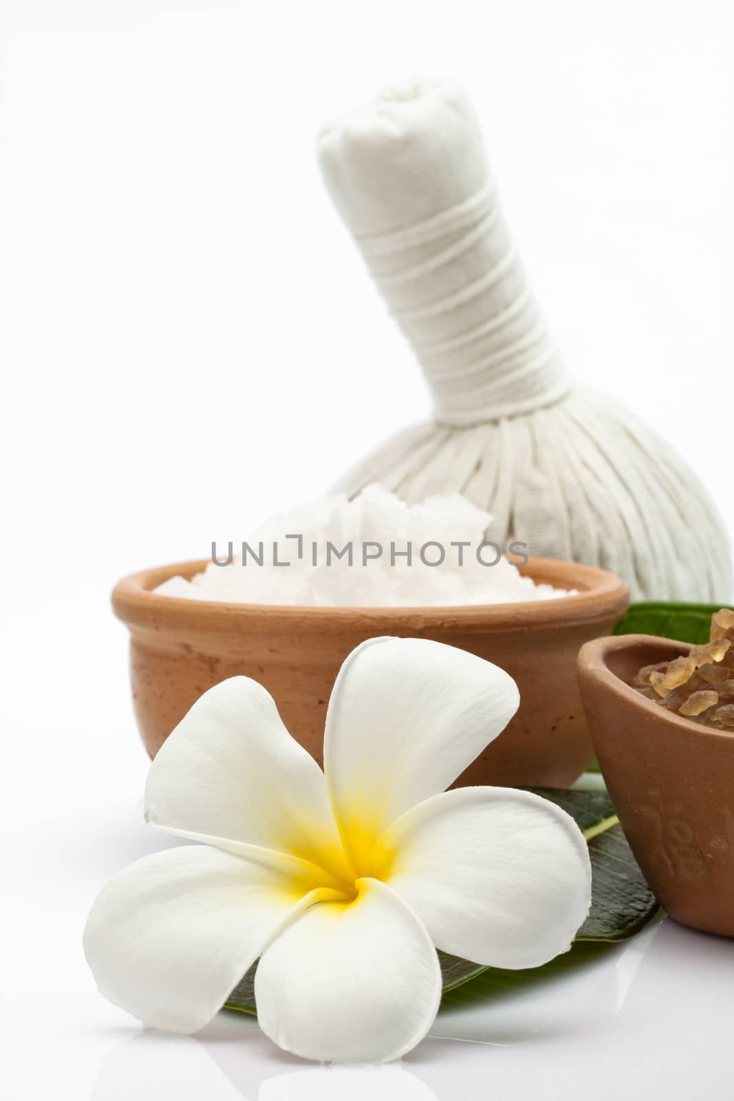 Close up view of spa theme objects on white background