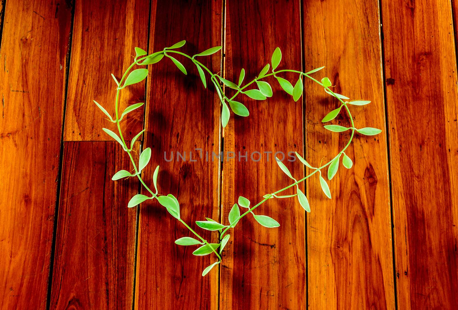 leaves heart are om the wood .Focus on the heart leaves in the image