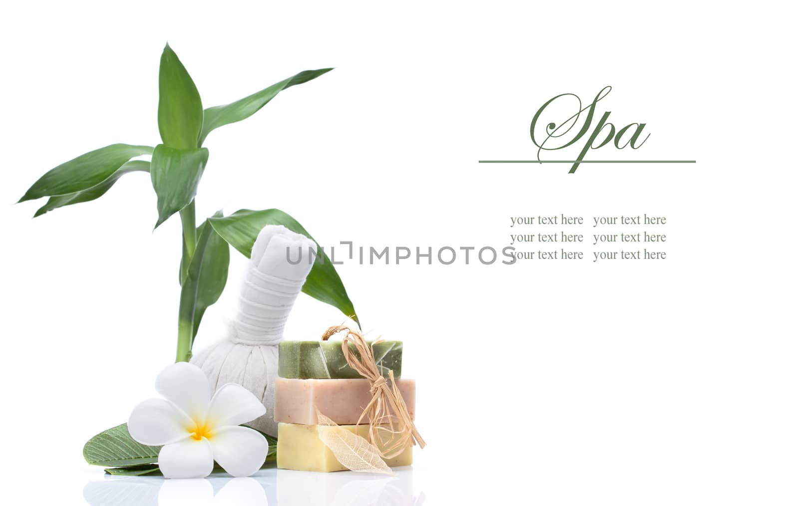 view of spa theme objects on white background. banner. lots of copy space.