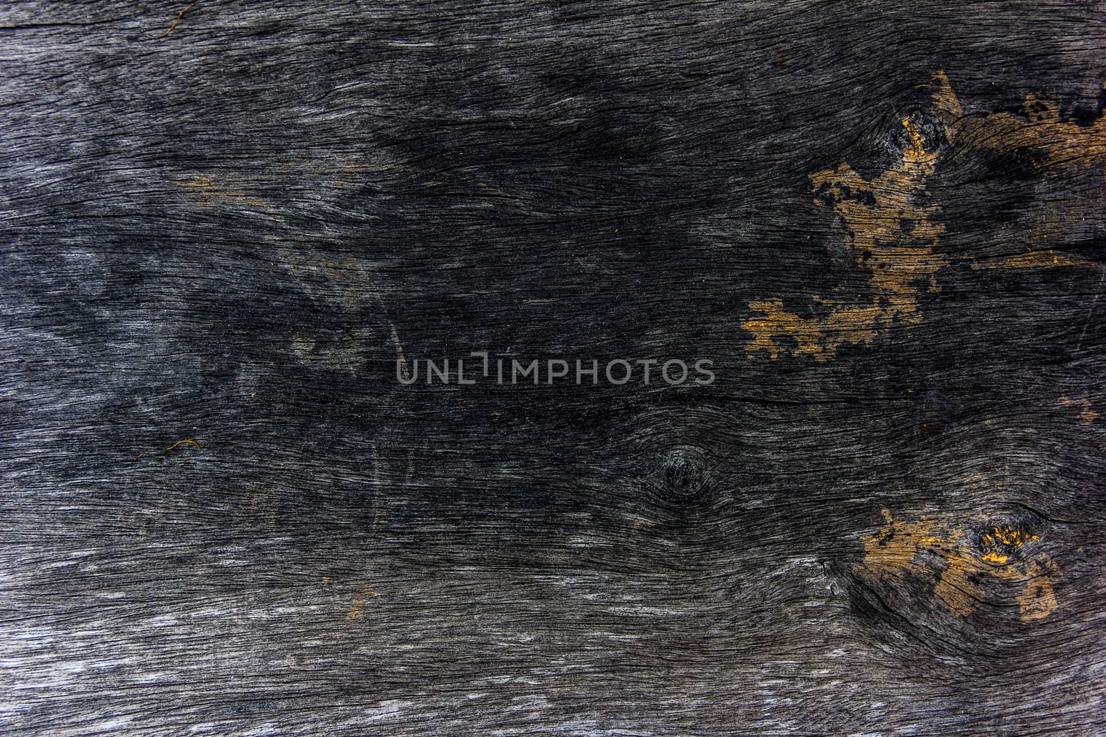 Wood background.The imaging sharp images.