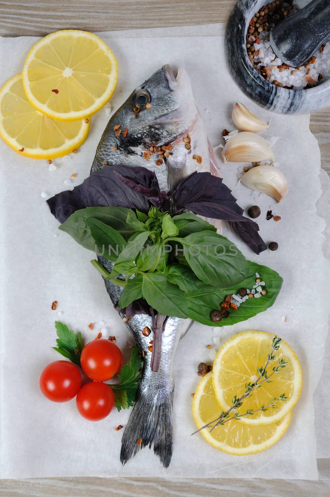 Fresh sea bream (Dorado) on paper with spices and herbs