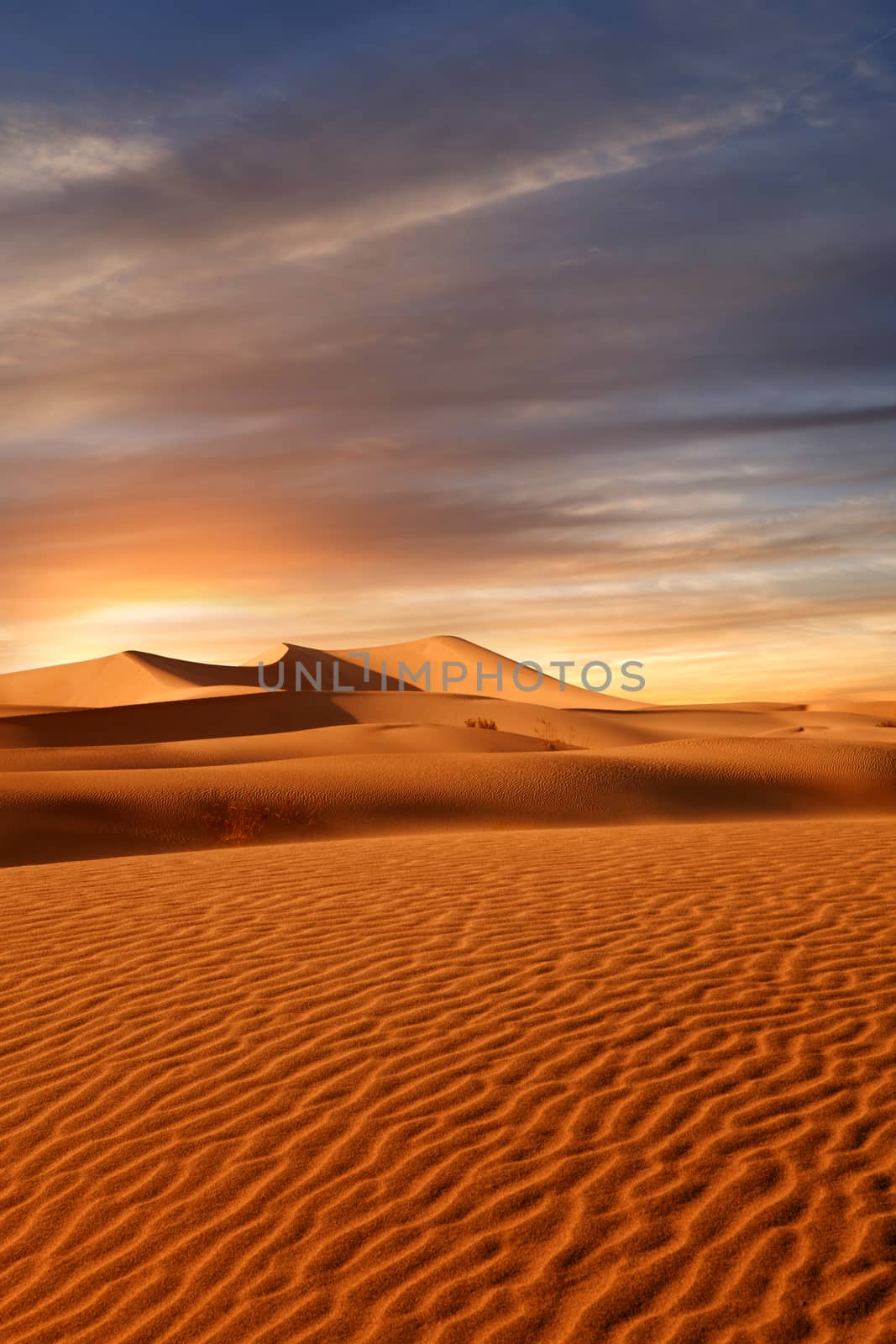view of nice sands dunes at Sands Dunes National Park during sunset