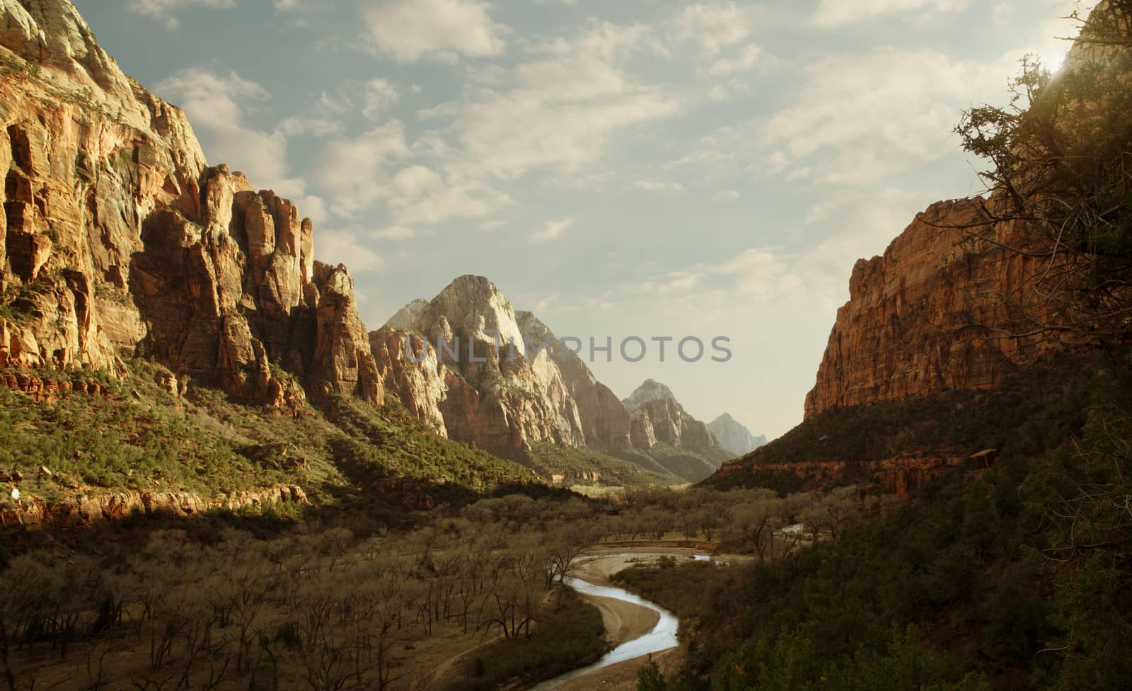 view of nice giant rock in Zion  national park