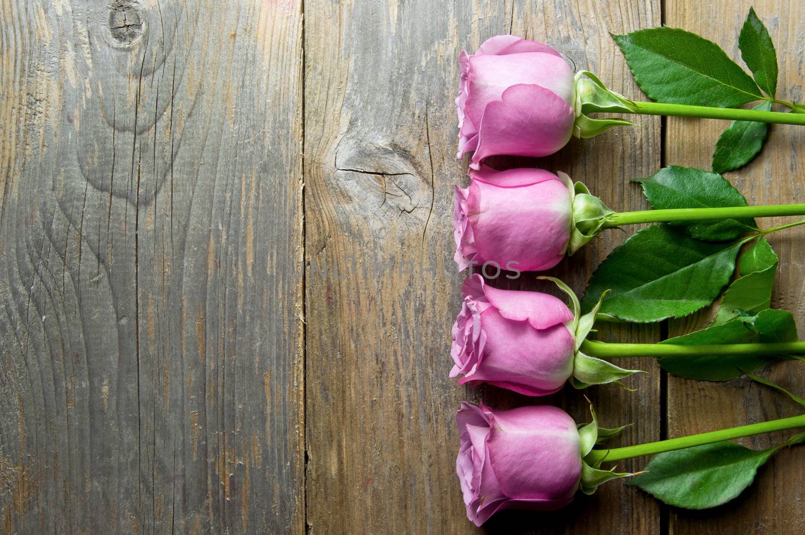 Pink roses on a wooden background wtih copyspace