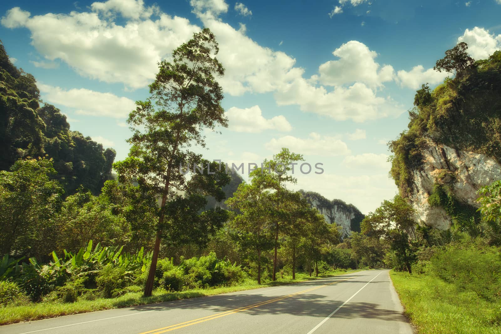 panoramic view of nice empty road in summer environment