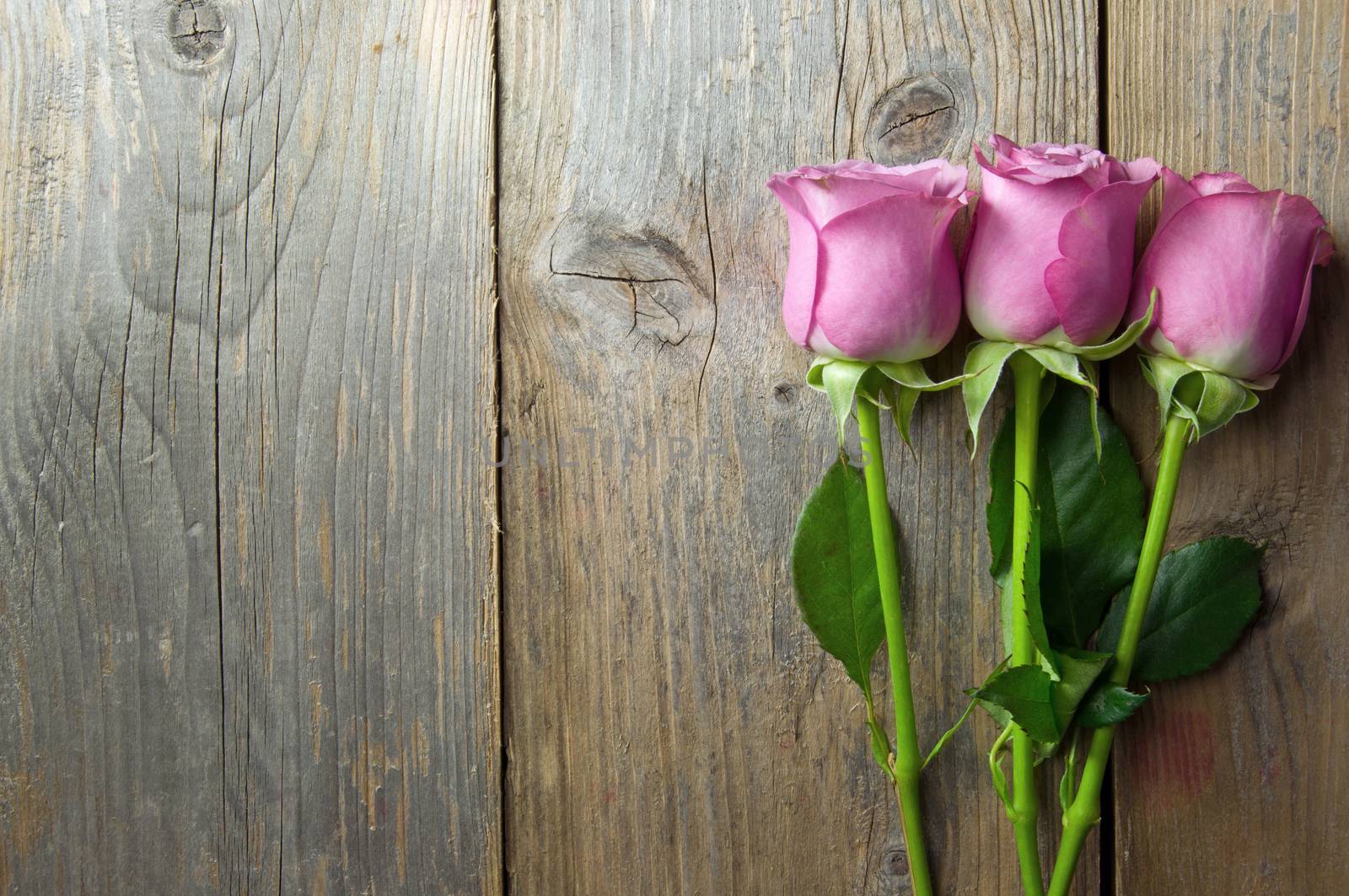 Pink roses on a wooden background wtih copyspace