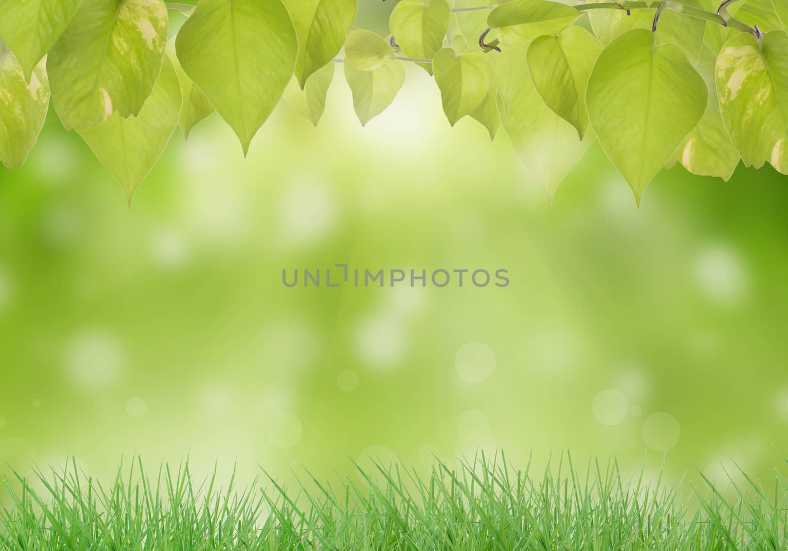 Abstract  bokeh and smoke, blur nature background.