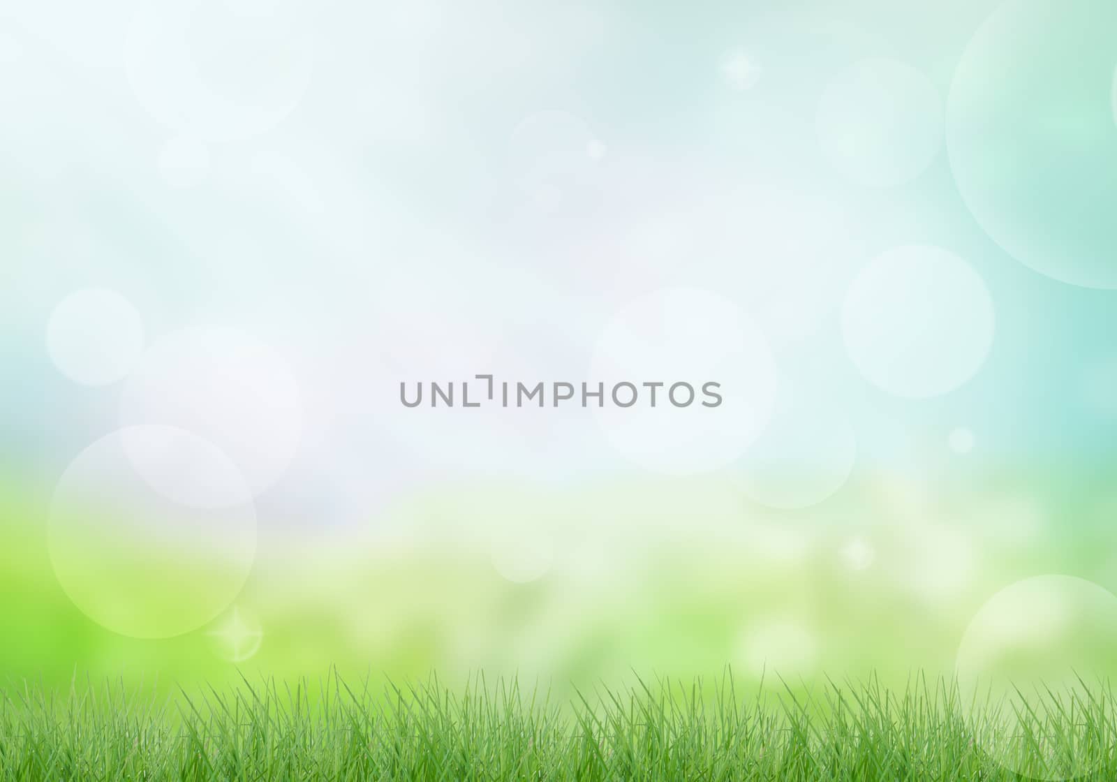 Abstract of bokeh and natural light of the summer season.