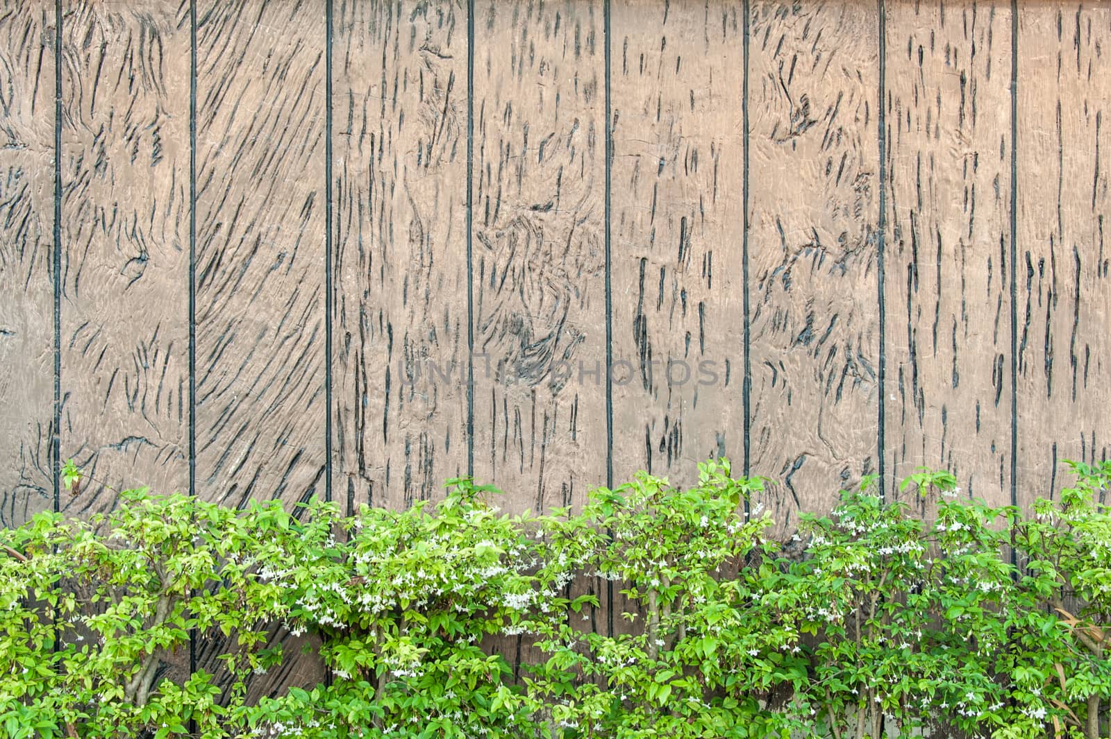 decorative stucco wood wall and green tree.