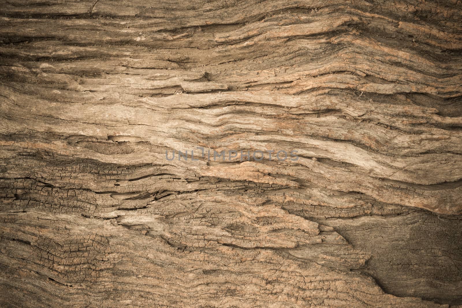 Wood texture suitable for background.