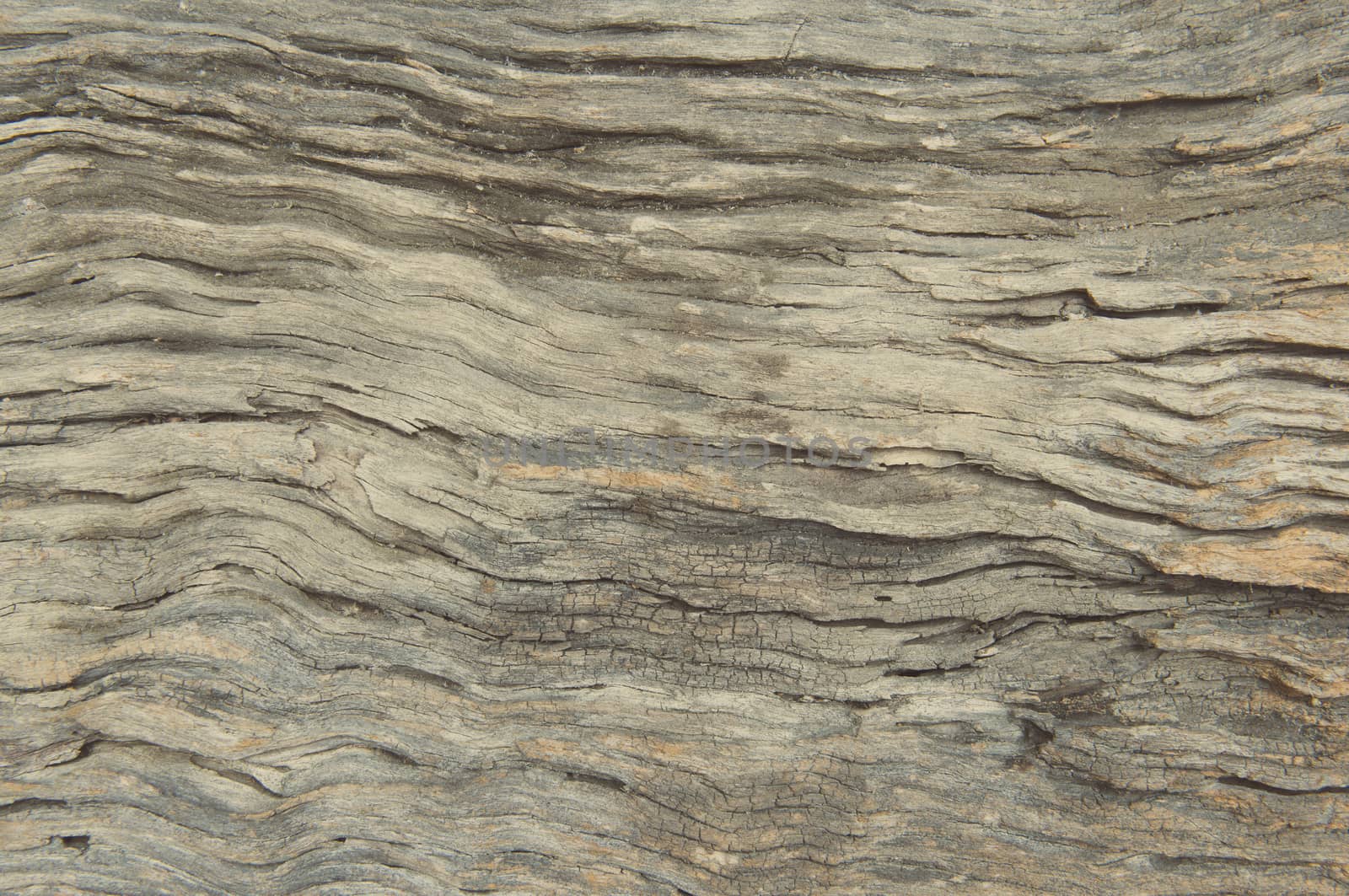 Wood texture suitable for background.