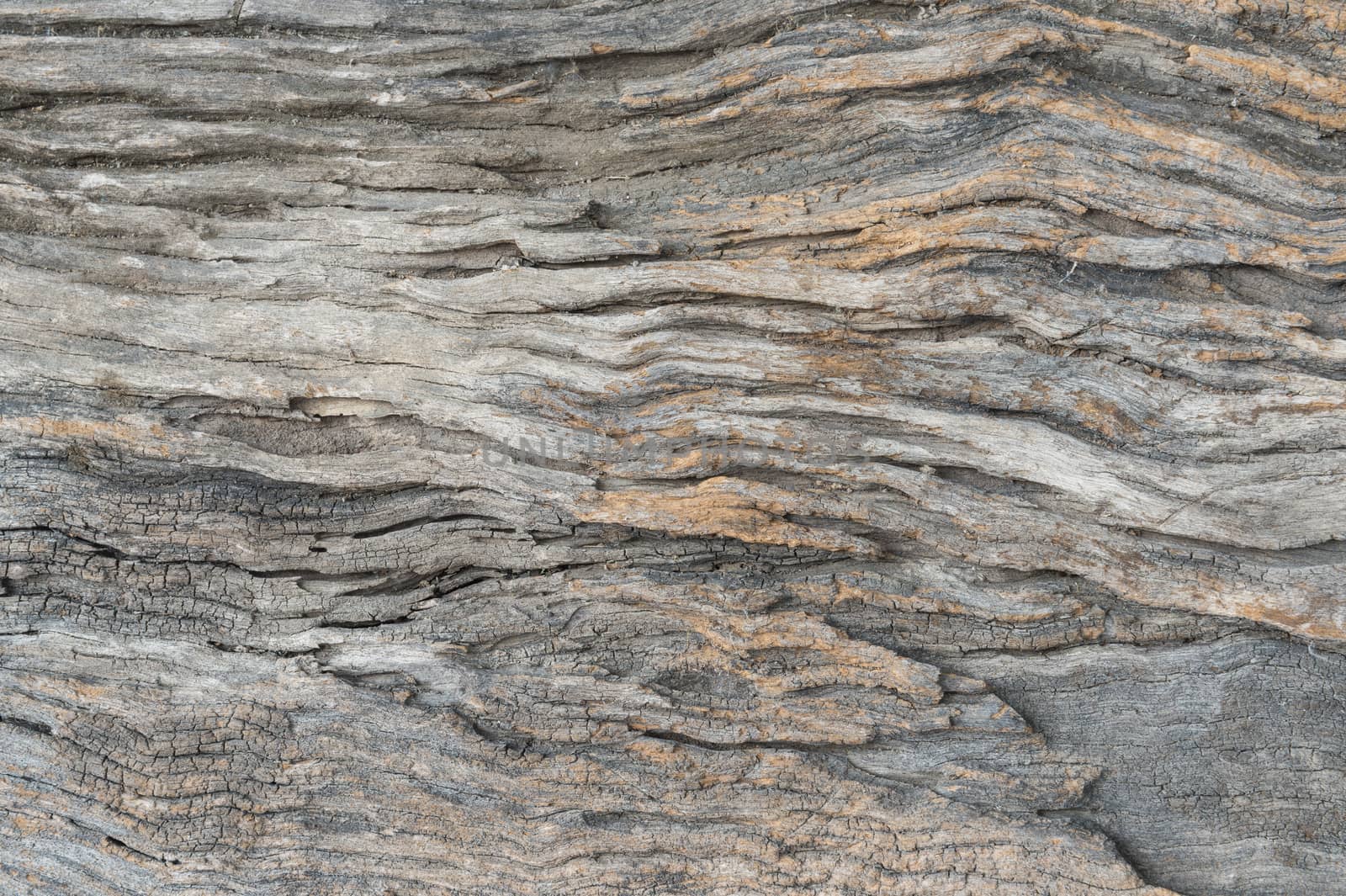Wood texture suitable for background.