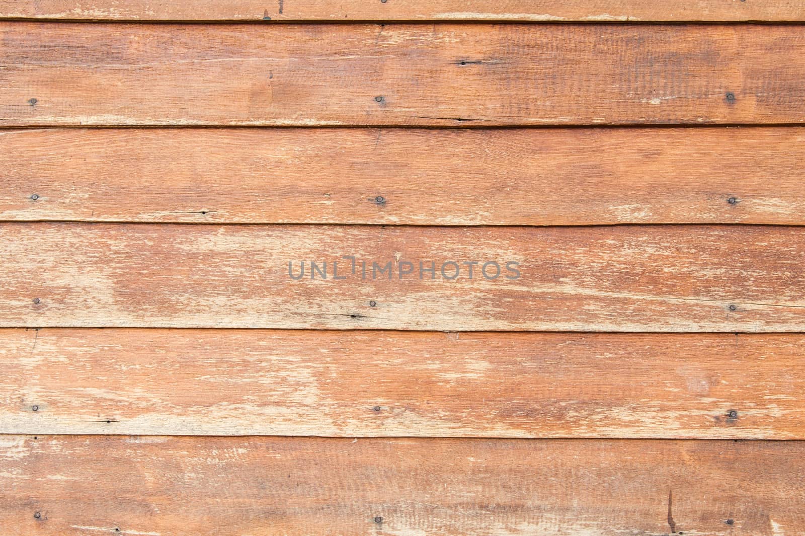 Wood texture with natural patterns.