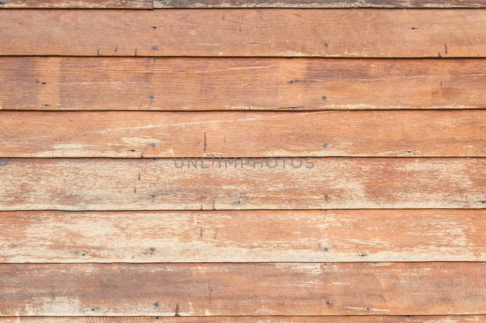 Wood texture with natural patterns.