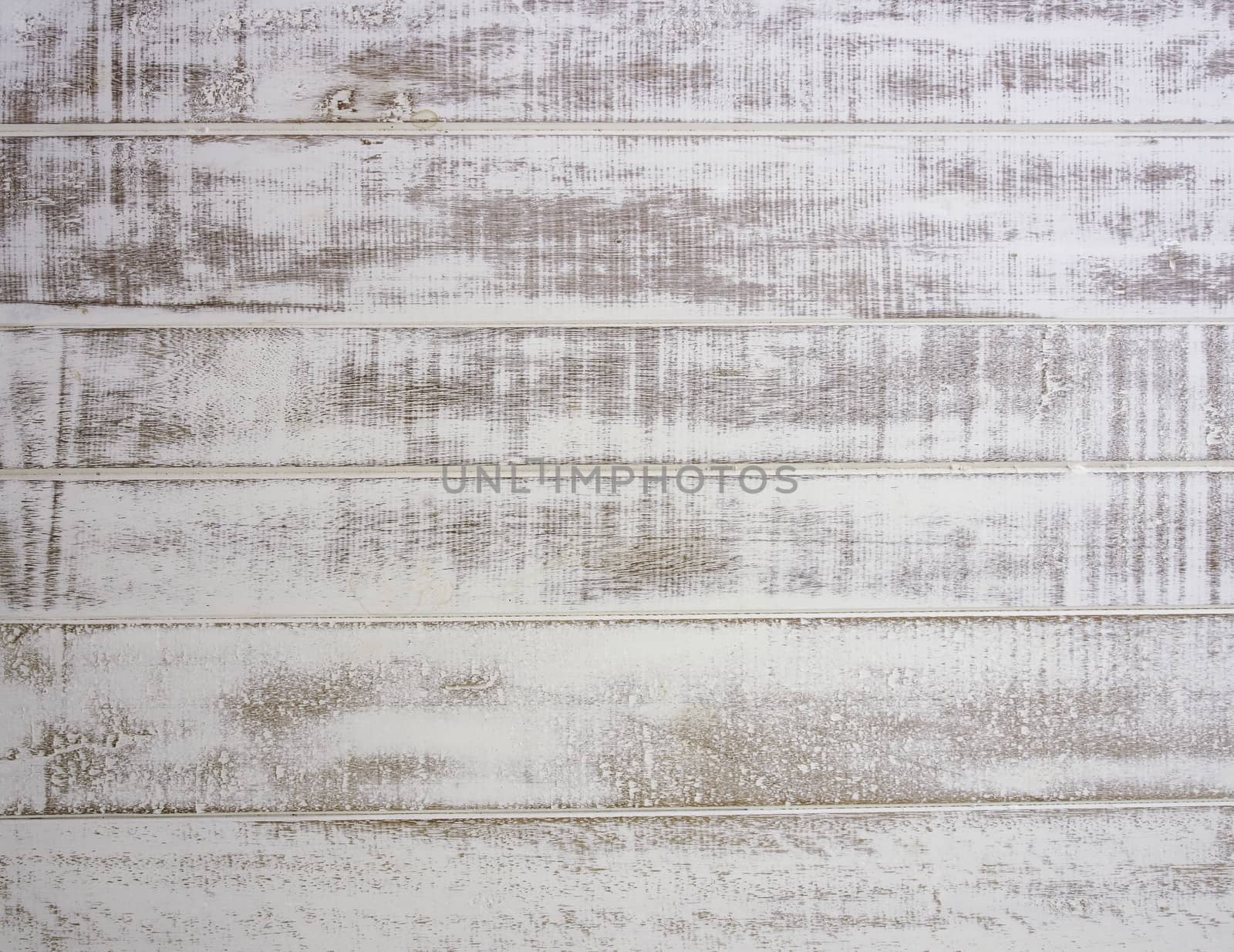 wood texture. background old panels