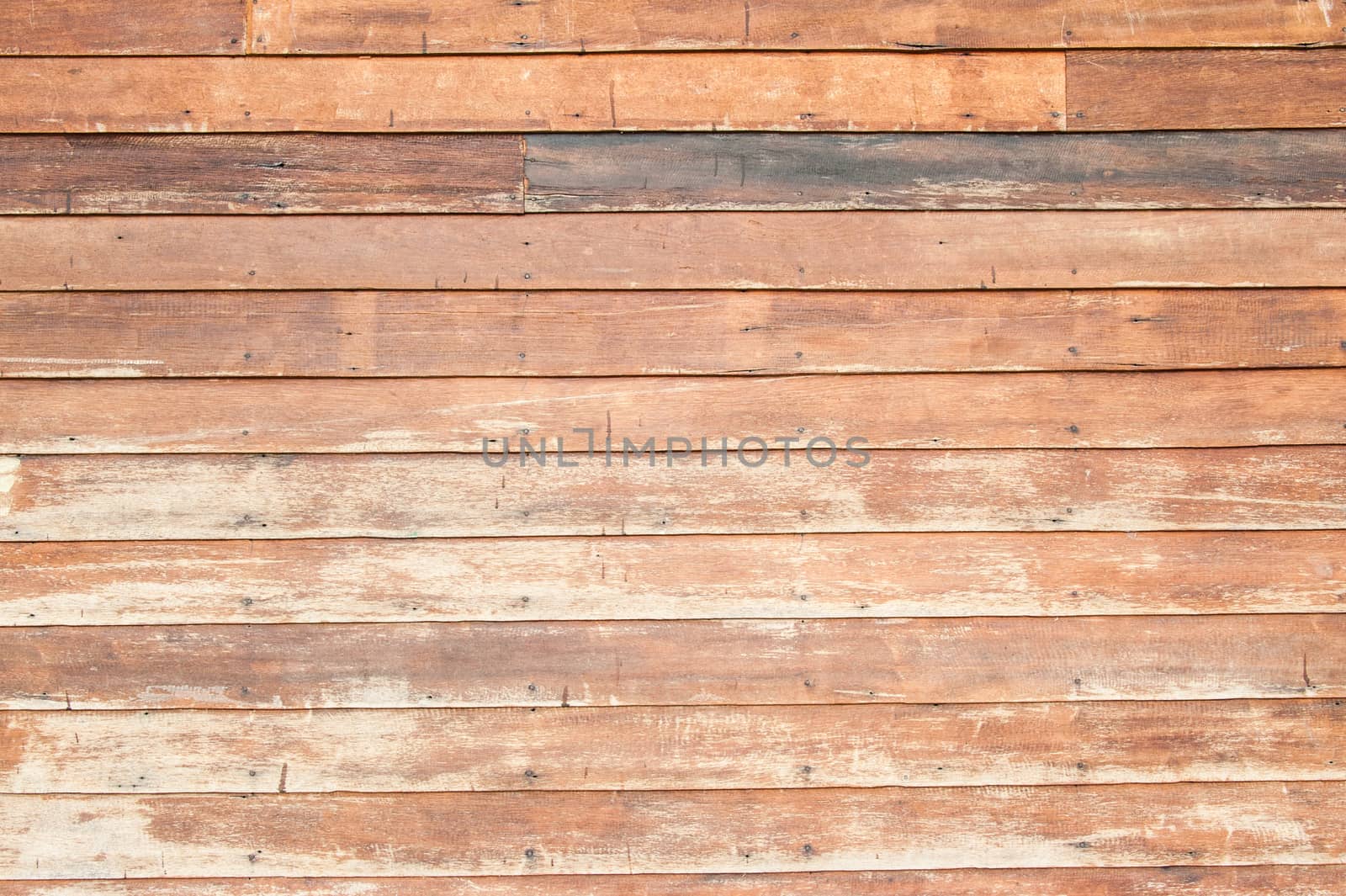 Wood texture with natural patterns.