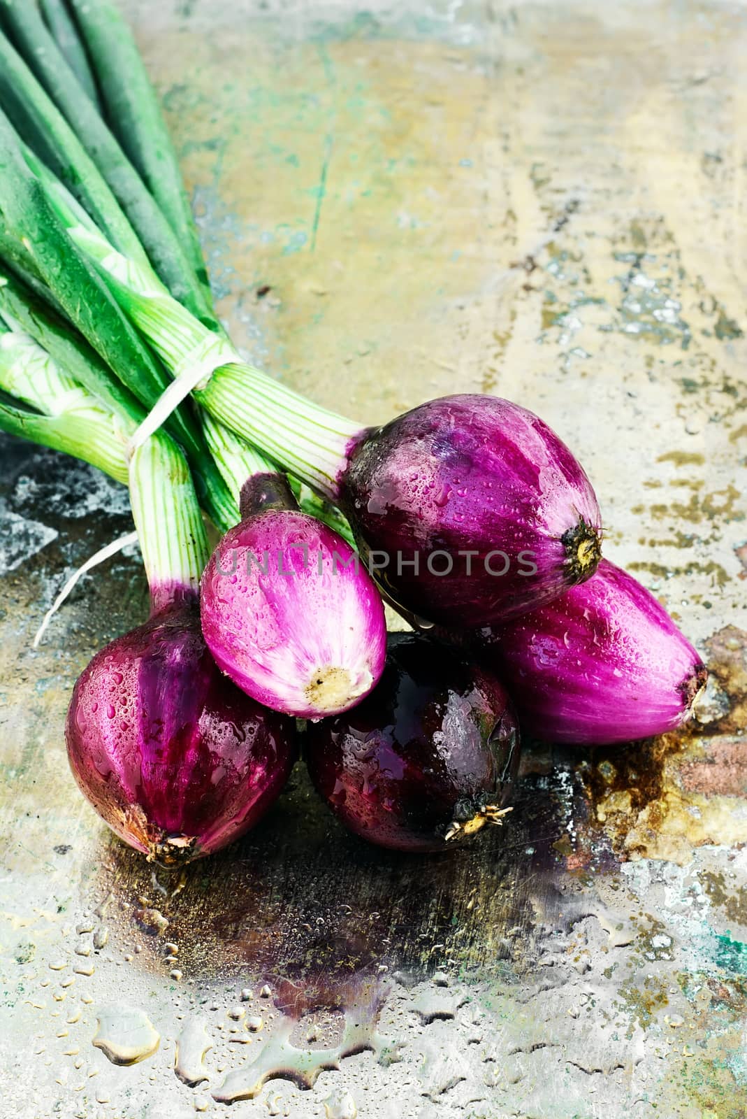 summer crop of onions by LMykola
