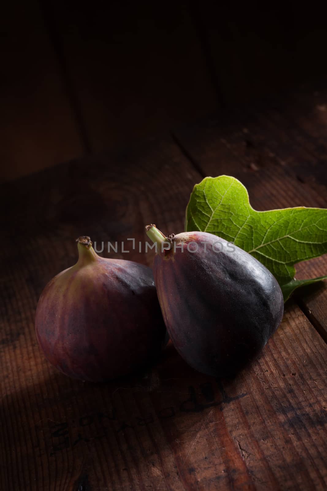 two figs by ersler