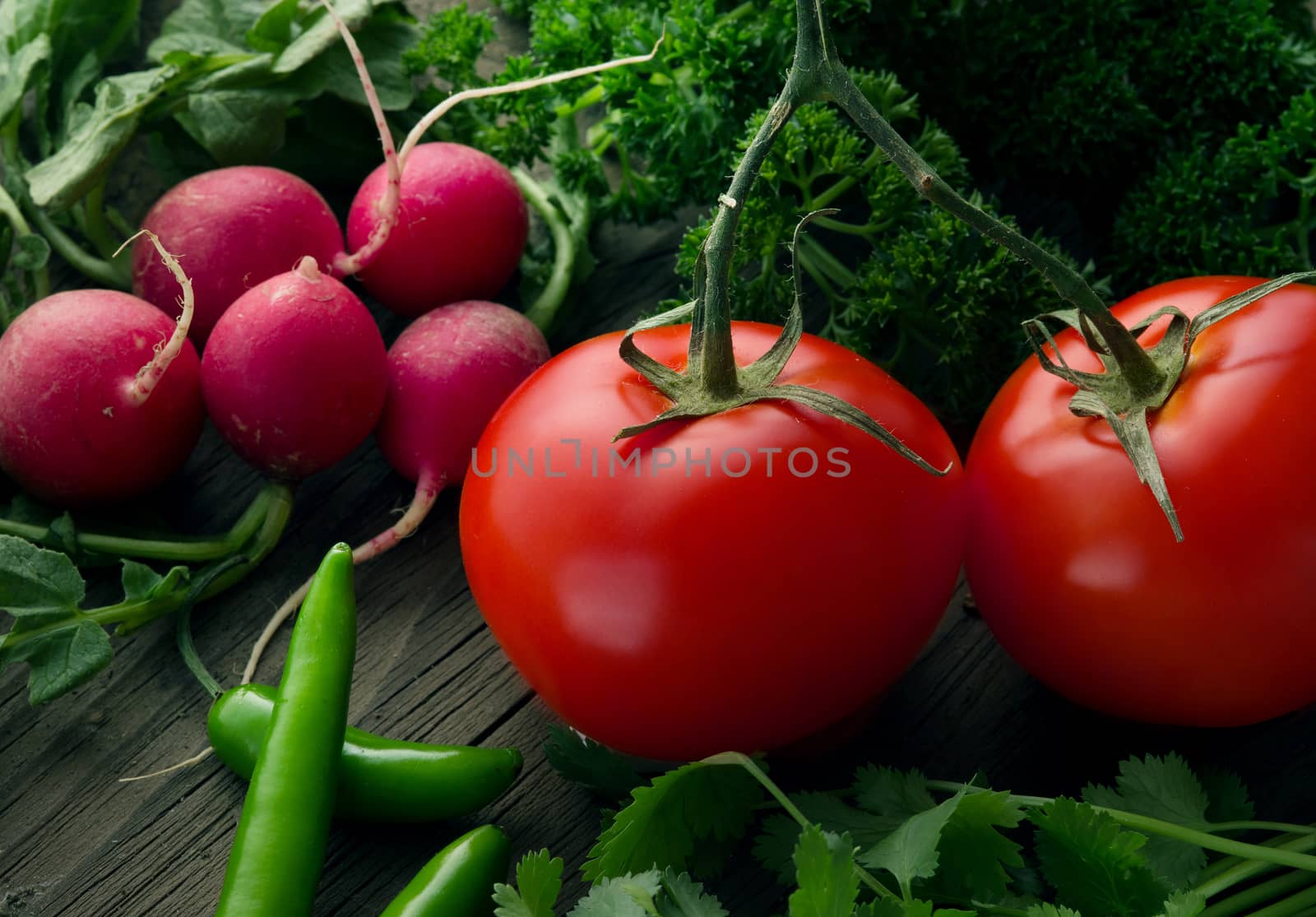 Close up view of nice fresh  vegetables on wooden back