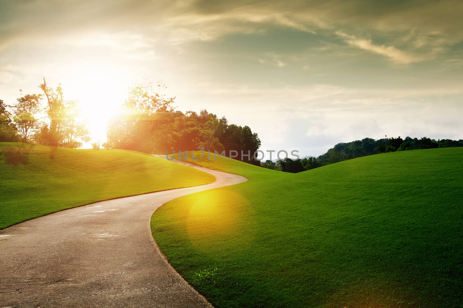 panoramic view of nice green hill and path during sunset