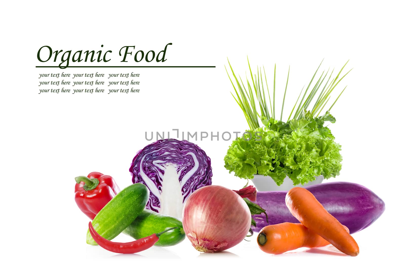 organic food by ersler