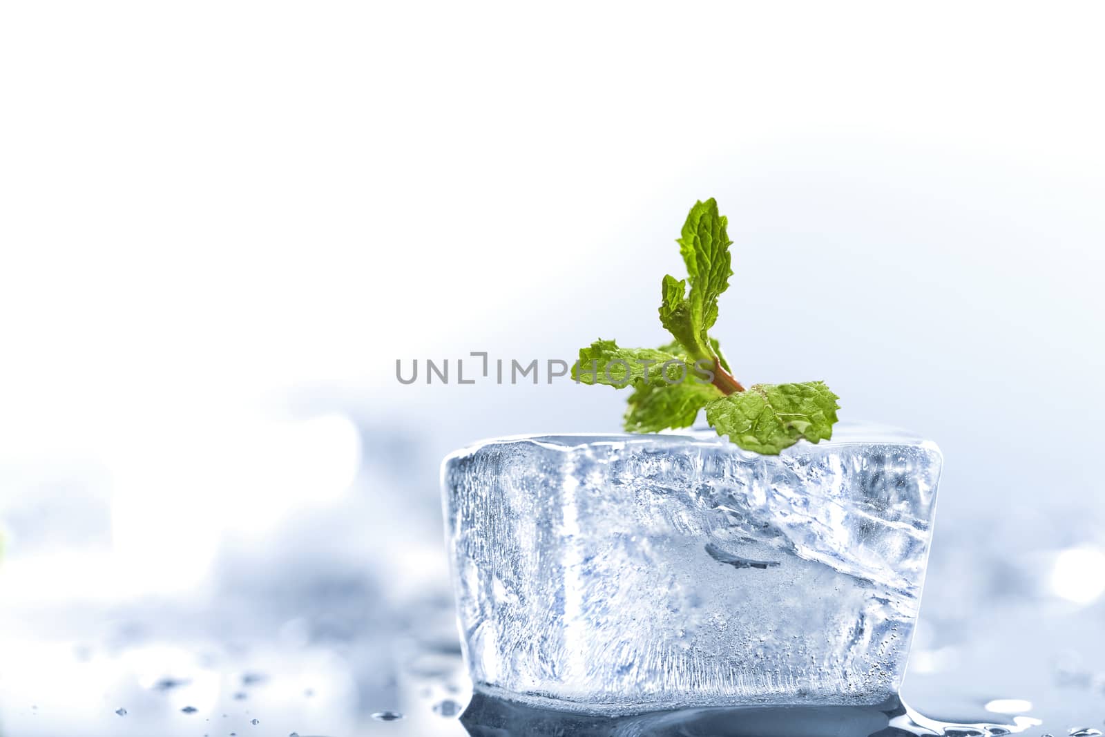 ice mint by ersler